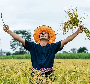 Agri-Tech and Innovation  Updates - 星空官网