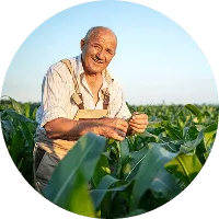 Revolutionizing the Way  Food is Grown - 星空官网