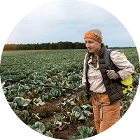 Revolutionizing the Way  Food is Grown - 星空官网