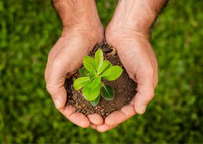 Organic Farming Solutions - 星空官网