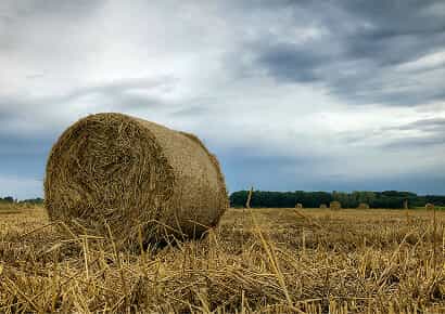 Organic Farming Solutions - 星空官网