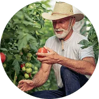 Organic Farming - 星空官网