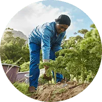 Organic Farming - 星空官网