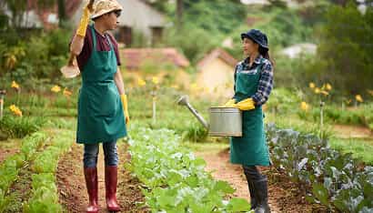 Revolutionizing the Way Food is Grown - 星空官网