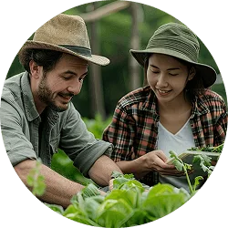 Revolutionizing  the Way Food - 星空官网