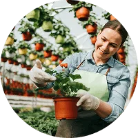 Organic Farming - 星空官网